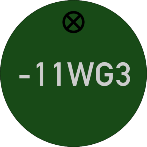 Werkzeugmarke Ø 30 mm Aluminium grün matt mit Textgravur